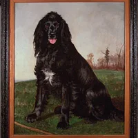 English Setter
