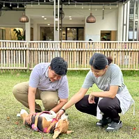 Beagle