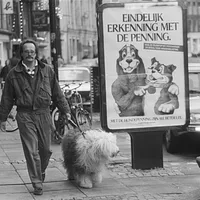 Old English Sheepdog