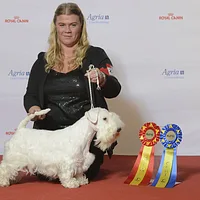 Sealyham Terrier, picture 7 of 8