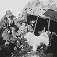 Yakutian Laika, picture 8 of 8