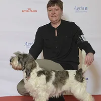Petit Basset Griffon Vendéen, picture 5 of 9
