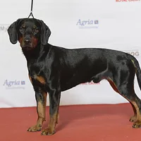 Slovensky Kopov