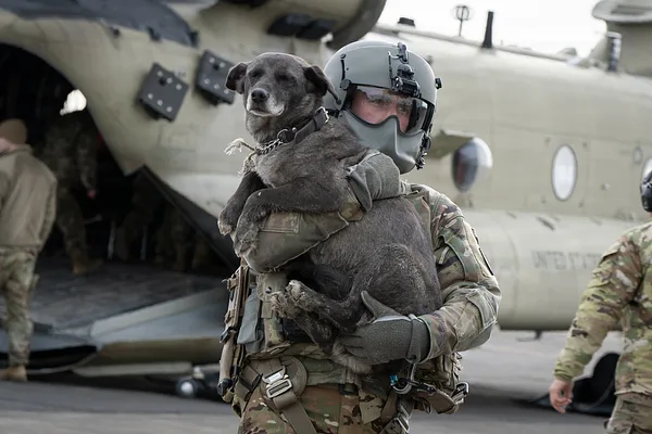 Chinook