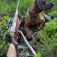 Hanoverian Scenthound
