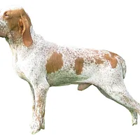 Bracco Italiano