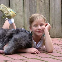 Scottish Deerhound, picture 8 of 9