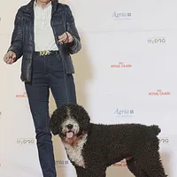 Spanish Water Dog, picture 5 of 9