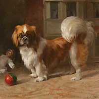 Pekingese