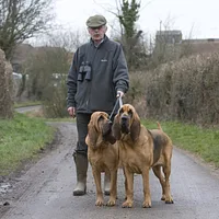 Bloodhound, picture 8 of 8