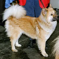 Hokkaido