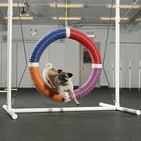 Pug
