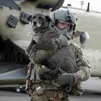 Chinook